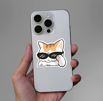 CLAUZIO Rizz Cat Sticker